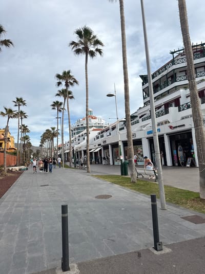 This image captures a lively pedestrian promenade in Los Cristianos, Spain, under a bright, partly cloudy daytime sky. The perspective is looking down a long pathway lined with tall palm trees, many of which have rough, wrapped trunks. The promenade itself is paved with light grey square tiles, with a darker bordering strip where the trees are planted.
To the right of the promenade, a row of multi-story white buildings with prominent green-railed balconies and awnings define the urban landscape. These buildings house various shops and establishments; one sign clearly displays "SUPERPARK," and surfboards are visible in a shop window, hinting at a coastal, recreational focus.
Numerous people are engaged in leisure activities along the promenade. Some are seen strolling casually, while others are seated on benches outside the shops, observing the scene. In the mid-ground, a group of individuals, including children, walk together, adding to the dynamic feel of the area.
Street furniture such as light poles, dark bollards, and a green trash bin are strategically placed along the path. Behind the buildings and palm trees, a large white multi-deck vessel, likely a ferry or cruise ship, is partially visible, indicating the presence of a nearby port or harbor. Faint outlines of mountains or hills can be seen in the distant background, contributing to the scenic setting of this bustling coastal town.