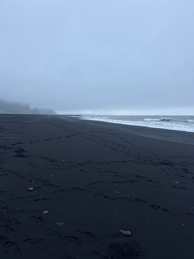 The image shows a black sand beach in Vik, Iceland, under a foggy sky. The ocean meets the shoreline with white-capped waves. The beach is covered in numerous footprints. Small rocks are scattered across the sand.