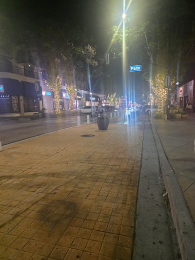 The image captures a nighttime street scene in Burbank, United States of America. The perspective is from a sidewalk, looking down a street lined with buildings and trees. The street is illuminated by streetlights and decorative string lights adorning the trees.

In the foreground, the sidewalk is paved with large, square, tan-colored tiles, with a distinct seam running down the middle. To the right of this seam is a concrete curb and a drainage channel. The sidewalk is casting long shadows from the overhead lights.

Further down the street, there are businesses with illuminated storefronts. Visible signs include "US Bank" and "Palm". Several trees are wrapped in bright, warm-toned string lights, creating a festive atmosphere. Traffic signals and street signs, including one indicating "Palm", are visible above the street.

There are several people visible in the scene. On the right side of the street, a woman is standing near a planter. Further down, a group of people are walking near the entrance of a building. On the left side of the street, a person is walking near a planter.

The street itself is paved with asphalt. Vehicles are present, including a white SUV parked on the right side of the street and other cars further down. A "Do Not Enter" and "Wrong Way" sign is prominently displayed near the center of the street. There are also several large, dark planters placed along the sidewalk. The overall environment suggests an urban commercial area during the evening hours.
