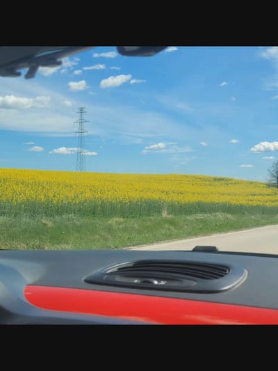 The image depicts a landscape view from inside a vehicle, looking out through the windshield. In the foreground, the dashboard of the car is visible, featuring a black textured surface with a red accent line and a circular vent. The road ahead is a light gray asphalt. Beyond the road, a vast field of bright yellow flowers, likely rapeseed, stretches across a gentle slope. A tall, lattice-style electricity pylon stands prominently in the distance, centered in the frame, against a bright blue sky dotted with white, fluffy clouds. The environment suggests a rural or agricultural setting in Poland, possibly near Bielawska Wieś, given the visual cues of open fields and utility infrastructure typical of such areas.