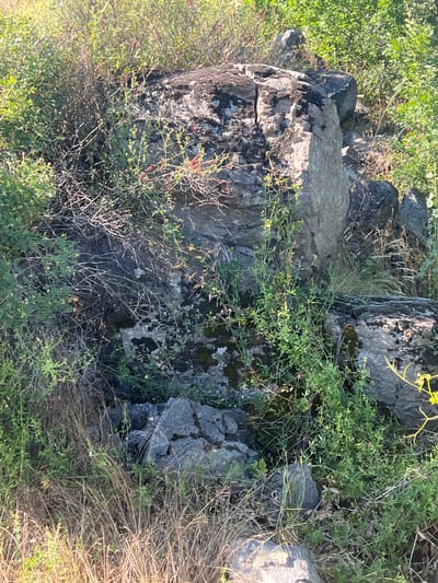 The image shows a close-up view of a rocky area with dense vegetation, likely in Malishka, Armenia. The foreground is filled with dry, light brown grass and some green leafy plants. Several large gray rocks are visible, some covered with dark moss. In the background, more green bushes and trees form a thick natural barrier. Sunlight illuminates the scene, casting shadows and highlighting the textures of the rocks and plants. There are no people or animals in the image.