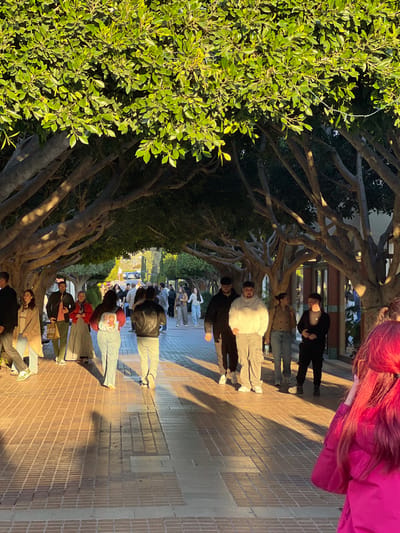 The image displays an outdoor pedestrian walkway in Marratxí, Spain, covered by a dense canopy of mature trees with green foliage, creating an arched, natural tunnel. Strong sunlight enters from the left, casting long, distinct shadows across the terracotta-colored brick-patterned pavement. Approximately 25 to 30 individuals, mostly young to middle-aged adults, are present, moving in various directions.
In the immediate foreground, on the right side, the upper back and right shoulder of a person with bright pink hair and a matching pink jacket are visible; this individual holds a dark object, consistent with a mobile phone, with their right hand. To the mid-foreground right, three men walk towards the camera: the central figure wears a white hoodie and light grey cargo pants, flanked by two men dressed in dark clothing. Further back on the right, a man and a woman in casual attire appear to be conversing. In the central mid-ground, individuals are seen walking away from the camera, including a person wearing a black leather jacket and another in a red long-sleeved top with a graphic design on the back. On the left side of the pathway, several pedestrians walk towards the camera or further into the background, including a man in a black suit jacket and a woman in a light-colored coat. The background shows a paved road with blurred vehicles and distant structures, indicating an urban setting beyond the tree canopy. The scene depicts general public movement under natural illumination.