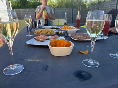 This media file captures a casual outdoor gathering in Bredene, Belgium, likely a garden or patio setting, on a bright, sunny day. The scene focuses on a dark grey, textured outdoor table laden with food and drinks, with people partially visible in the background.
**Subjects**: A young person in a striped t-shirt stands in the background, holding a Lipton iced tea bottle. Parts of other individuals, including an arm on the lower left and another person's arm in a dark shirt on the right, are visible, suggesting multiple attendees.
**Objects**: The table is well-stocked with various dishes and beverages. Several clear champagne flutes, filled with sparkling light-yellow liquid, dominate the foreground and mid-ground. Two tall glasses containing a red beverage, possibly juice or a cocktail, are also present. Other drinks include a Lipton iced tea bottle, a Corona beer bottle, and a Red Bull can. Food items feature prominently: bowls of orange, possibly paprika-flavored, crisps/chips, a plate of tortilla chips, and plates of open-faced sandwiches. Some sandwiches are topped with salmon and cream cheese, while others appear to have a pâté or savory spread. A small bowl contains olives or similar green items. The table itself shows signs of use, with visible scratches and two wet patches, one notably dark and oval-shaped from a spill.
**Scene/Setting**: The background reveals green foliage, including bushes or trees, and a dark wooden fence, indicating a private outdoor space like a backyard. A light-colored building, possibly white brick, is partially visible on the far left. A sun umbrella pole extends upwards from behind the table.
**Activity/Event**: The setup suggests a relaxed social gathering, such as an informal meal or aperitif, where attendees are enjoying snacks and drinks outdoors.
**Notable Details**: The strong sunlight casts reflections on the glasses and highlights the bubbles in the sparkling wine. The overall atmosphere appears bright and pleasant. One champagne flute clearly shows the word "CHAMPAGNE" in reverse, reflected on its side.