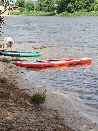The image depicts a sunny day on the banks of the Seversky Donets River in Belaya Kalitva, Russia. Two paddleboards, one green and one red, are in the water near the sandy shore. A woman in a white shirt and black bottoms is partially visible, bending over near a child who is also partially visible. A group of ducklings and an adult duck are swimming in the river. The background features lush green trees and vegetation lining the riverbank, with some residential buildings visible in the distance. The water is calm with gentle ripples.