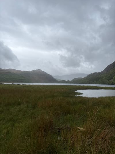 The image shows a landscape near Beddgelert, United Kingdom, under a heavily overcast, gray sky. Rain or light snow is falling.

A narrow body of water separates a steep, verdant mountainside on the left from a marshy area covered in tall grasses on the right. The mountainside is partially obscured by low-hanging clouds and mist. The tall grasses are predominantly green and brown. There appears to be a pale object partially concealed within the grass in the right foreground. The water reflects the gray sky and the mountainside.
