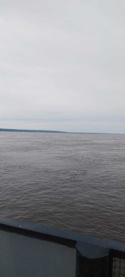 The image depicts a wide, muddy-looking river, likely the Lena River based on the location of Mokhsogollokh, Russia. The water is choppy with ripples across its surface. The opposite bank of the river is visible in the distance, appearing as a low, green strip along the horizon. The sky is overcast with a uniform layer of gray clouds. In the foreground, a portion of a dark-colored railing is visible. The scene is devoid of people or specific landmarks other than the natural elements.