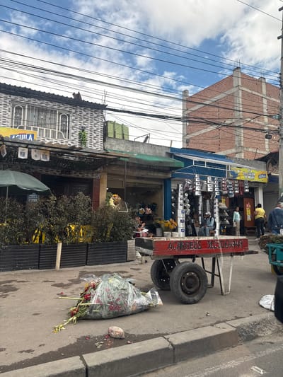 The image depicts an urban street scene in Soacha, Colombia, observed during daylight hours, specifically at 13:36 as indicated by a clock on a building.
In the immediate foreground, a black plastic bag filled with discarded red and yellow flowers lies on the dark, damp asphalt street, adjacent to a concrete curb. A small rock or piece of concrete rests nearby.
Dominating the center of the foreground is a red wooden handcart with two large, dark-rimmed wheels. The cart's side is emblazoned with "ACARREOS 3123064949" in white lettering. It functions as a mobile shop, densely displaying various sizes of aluminum pots, pans, and other cookware, both stacked and hanging. A man wearing a white baseball cap, a light blue long-sleeved shirt, and dark trousers sits on a small stool on the cart, looking down. To his right, a woman in a light blue top and dark trousers stands near the cart, holding a small white bag.
The midground features a row of commercial buildings. On the left, a bar or restaurant displays a large yellow "CERVEZA AGUILA" sign and several white banners with "REAL" logos. An outdoor seating area with black planters filled with dark green foliage is visible, alongside an open green patio umbrella. The digital clock on the building's wall reads "13:36." The adjacent shop, behind the handcart, has a blue awning and a sign stating "BAR EL RINCÓN DE MARY" with "AGUILA" beneath it. Further to the right, pedestrians including a woman in a yellow shirt and a man in a blue denim jacket are visible on the sidewalk. Numerous black electrical and communication wires are densely strung overhead, crisscrossing the street.
The background includes a two-story building on the left with a gray, textured brick facade and windows protected by white, ornate metal grilles. On the right, a multi-story, uncompleted brick building with exposed concrete structural beams and rebar rising from its top is prominent. The sky above is partly cloudy with significant patches of blue.