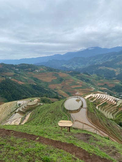 This image captures a panoramic view of the terraced rice paddies in Pung Luong, Vietnam, under a cloudy sky. The foreground shows a dirt path with patches of green grass and a simple wooden bench with a rounded tabletop. Beyond this, the landscape drops steeply to reveal intricate patterns of terraced fields, some filled with water reflecting the sky and surrounding mountains, others appearing as reddish-brown soil or lush green vegetation. Several small structures, possibly huts or shelters, are visible within the paddies.

In the middle ground, a larger, irregularly shaped pool of water is formed by the terraced landscape, with a small thatched-roof structure on its edge. A group of people and several motorcycles are gathered on a dirt path winding through the lower terraces. The middle and background are dominated by rolling hills and mountains, layered with more terraced fields and interspersed with trees and scattered houses, all softened by the overcast atmosphere. The overall scene depicts a vast agricultural landscape shaped by human effort on steep terrain, characteristic of the region.