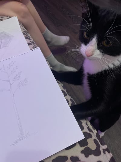 The image shows a black and white cat sitting on a leopard-print surface next to a person's legs, who is wearing grey socks and is drawing on a piece of paper. The drawing on the paper appears to be a tree. The environment is indoors, with a wooden floor visible in the background. There is no indication of the location being in the city of Zmeinyi, Russia.