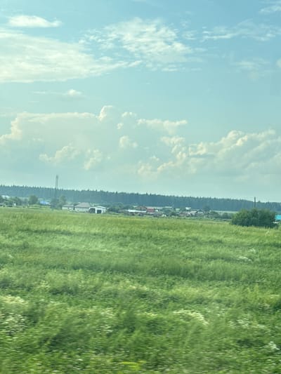 The image depicts a rural landscape under a partly cloudy sky, with a hint of blue sky visible. The foreground is dominated by a field of tall, green grass, interspersed with smaller white wildflowers. In the middle ground, a cluster of low-rise buildings, characteristic of a village, is nestled among trees and fields. A tall, slender transmission tower is visible to the left of the buildings. The background features a dense line of dark green trees, possibly a forest. The scene appears to be a still, natural environment, typical of the countryside. The specific location in Retneva, Russia is implied by the overall aesthetic and vegetation.