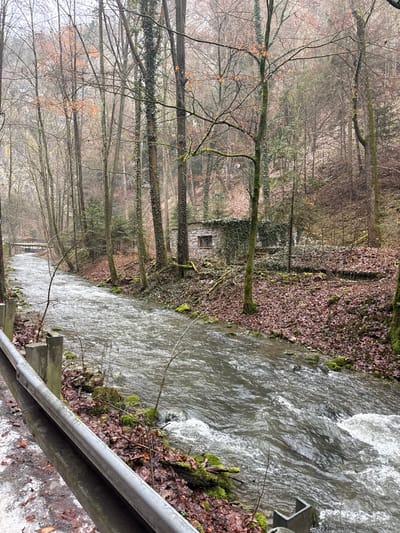 This image depicts a valley landscape in Nové Dvory, Czechia, under an overcast sky, characteristic of late autumn or winter. In the immediate foreground, a two-bar metal guardrail with concrete posts is visible along the left side, with patches of snow or ice on the ground directly adjacent. A moderately wide, fast-flowing stream occupies the midground, flowing from the background towards the foreground, exhibiting visible ripples and white water. The stream banks are lined with rocks, green moss, and fallen brown leaves. On the right bank, a small stone structure, possibly an old building or ruins, is situated, partially overgrown with dark green ivy and featuring a single rectangular window opening. The background is densely forested with numerous tall, bare deciduous trees and some scattered evergreens, ascending a steep hillside. The forest floor is heavily covered with fallen brown leaves. In the far left background, a small wooden pedestrian bridge spans the stream. No human figures or discernible animal life are present in the scene.