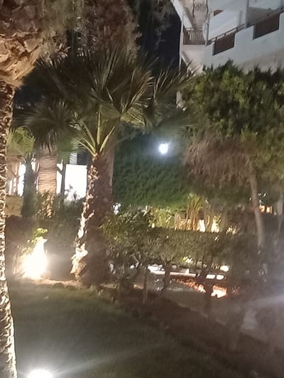 This is a nighttime photograph of a garden area outside a building, likely a hotel or resort, in Kos, Greece. A large palm tree trunk is visible on the left, with its fronds obscuring the background. In the center, another palm tree stands tall, its leaves spread out against a dark sky. Behind it, a building with multiple levels and balconies is illuminated. The garden features neatly trimmed hedges and some trees, with several bright lights illuminating the scene from ground level. A bright circular light, possibly the moon or a strong lamp, is visible in the upper left quadrant of the image, shining through the foliage. There are no discernible people or active interactions depicted in the scene. The overall impression is of a well-maintained outdoor space at night.