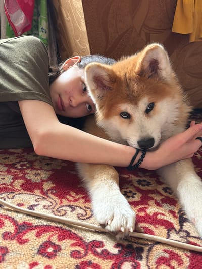 A young person lies on a patterned rug, with a large fluffy dog resting on them. The person, wearing a green t-shirt, looks upwards. The dog is primarily white with tan markings around its ears and face. A black bracelet is visible on the person's wrist. The location is Заболотово, Russia. A wall socket is near the rug. A piece of furniture is next to the person's head.