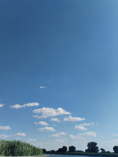 The image shows a wide view of a blue sky with scattered white clouds above a body of water and a treeline. On the left, there is a thick growth of green reeds. The water appears calm. The treeline is composed of dark green trees, some of which are tall and full, while others are more sparse. The scene suggests a natural, outdoor environment, likely in the village of Bilousivka, Ukraine. There are no people or animals visible in the image.