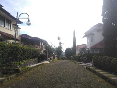 A paved residential road, constructed from dark, possibly moss-covered interlocking pavers, extends into the distance, appearing to ascend gently under a bright, hazy sky in Røros, Norway. On the left, a row of two-story residences with cream-colored facades and terracotta tiled roofs are partially visible behind a dense, manicured evergreen hedge and a low stone wall. A dark green, arched street lamp with a spherical glass fixture stands prominently in the left foreground. Further along the left side, additional buildings with balconies and dark railings are discernible. On the right side of the road, a multi-story, light-colored building with a terracotta tiled roof features a distinct bay window structure. A tall, slender, dark green conical evergreen tree stands to the right of this building. The right edge of the road is lined by a manicured hedge, possibly trimmed into rounded shapes, with a pathway constructed of stone pavers embedded in the ground adjacent to it. No human figures or vehicles are present in the scene. The sky is largely overexposed, indicating bright ambient light. Distant hills or mountains are faintly visible in the background beneath the bright horizon.