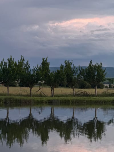 The image presents a serene landscape scene, likely captured during either sunrise or sunset, in Doganovo, Bulgaria. The sky, occupying the upper portion of the frame, is largely overcast with soft grey clouds, punctuated by a prominent vertical band of delicate pink and orange light on the left, indicative of the sun's low position.
A row of deciduous trees with vibrant green foliage stands along the edge of a calm body of water in the middle ground. Their trunks are visible, and they cast distinct reflections onto the water's surface. Behind the trees, a field of yellowish-brown grass stretches towards the background, where distant, dark hills or mountains rise, appearing as muted silhouettes against the sky.
The lower half of the image features a still body of water, most likely a lake or large pond. The water acts as a mirror, clearly reflecting the trees, the distant landscape, and the soft hues of the sky, albeit with subtle ripples distorting the reflections slightly. The overall impression is one of peaceful tranquility. There is no human activity or visible text in the image.