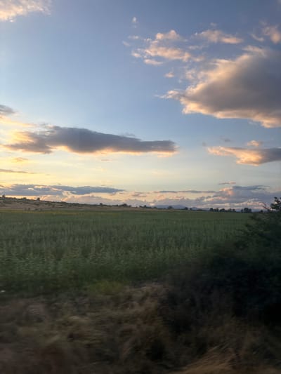 The image depicts a rural landscape at sunset, likely near Blatnitsa, Bulgaria. The sky is a blend of pale blue, with wispy clouds tinged with orange and pink hues from the setting sun. Below the sky, a vast green field stretches across the midground, appearing to be agricultural, possibly with rows of crops. In the distance, rolling hills are visible, dotted with sparse trees and a few scattered structures. The foreground is dominated by a blurry, out-of-focus area of dry grass and vegetation, suggesting the image was taken from a moving vehicle. There are no people or animals visible in the scene. The overall atmosphere is serene and natural, characteristic of a countryside setting at dusk.