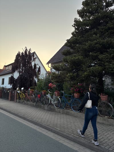 In Springe, Germany, a young woman walks on a paved sidewalk next to a row of decorative bicycles. The bicycles are lined up against a low wall, each adorned with flower baskets. Behind the bicycles, houses with white facades and dark roofs are visible, nestled amongst lush trees and gardens. A large evergreen tree with dark foliage stands prominently on the right side of the image. The sky above is a pale, diffused color, suggesting either early morning or late evening light. The woman is dressed casually in jeans and a dark top, carrying a patterned handbag. The scene depicts a quiet residential street.