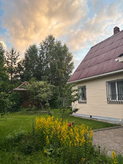 The image captures a side view of a residential building with pale yellow siding and a dark red, corrugated roof, located in the village of Lyady, Russia. The house features two windows with decorative black wrought-iron security bars. A paved walkway made of interlocking gray stones leads from the foreground towards the house. In the foreground, a dense patch of vibrant yellow flowers blooms amongst lush green grass and other foliage. A single red lily or similar flower is visible amidst the yellow blooms. To the left and behind the house, a wooden gazebo, partially obscured by dense greenery and climbing plants, is visible. The background consists of a line of tall trees and a cloudy sky with hints of warm sunset light. The overall scene depicts a peaceful, semi-rural setting.