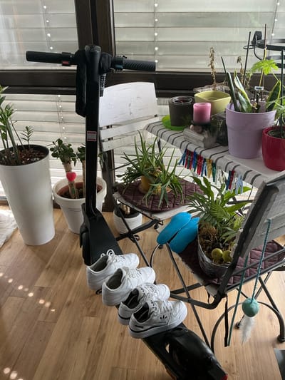 The image depicts an indoor scene with natural light filtering through blinds. The setting appears to be a balcony or sunroom, with plants and furniture. A black electric scooter is prominently positioned in the foreground, leaning against a chair. Several pairs of white Adidas sneakers are neatly arranged on the seat and the frame of the chair and the scooter. A table to the left of the scooter is adorned with various potted plants, candles, and clothespins holding small fabric swatches, suggesting a decorative arrangement. Another chair, with blue insoles placed on its seat, is visible next to the table. The floor is made of light-colored wooden planks. The overall impression is one of an organized, yet lived-in space, possibly a personal balcony in Bielefeld, Germany, given the information provided. There are no people visible in the image.