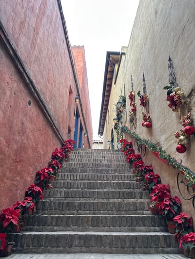 An upward angle captures buildings adorned with holiday decorations. Garlands with red and gold ornaments hang from the ceiling, complemented by red poinsettias lining the brick wall. The buildings, one painted in terracotta tones and the other in gray brick, create a festive atmosphere. The sky is visible in the upper left corner.