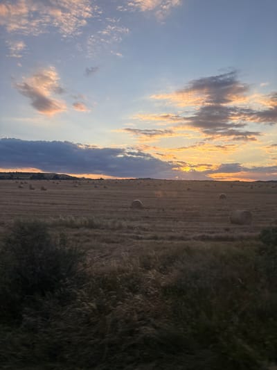 The image depicts a rural landscape at sunset. A vast field of harvested wheat or hay stretches across the frame, dotted with numerous round bales of hay. In the foreground, the field is overgrown with dry grass and bushes, suggesting a natural or uncultivated area. The sky is a mix of soft blues and oranges, with wispy clouds catching the warm glow of the setting sun. A distant, undulating horizon line is visible, with a hint of trees or a low ridge. The overall impression is one of tranquility and the end of a harvest day in a rural setting. There is no indication of the city of Dragomir, Bulgaria, within the image itself.