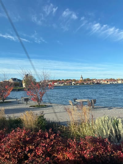 The image depicts a waterfront scene in Västervik, Sweden, observed from a paved promenade looking across a body of water towards the city's main developed area. The sky is bright blue with scattered white, wispy clouds. A prominent dark diagonal line artifact extends from the upper left corner towards the mid-right.
In the mid-ground, a wide expanse of blue water with visible ripples separates the foreground from the distant cityscape. Across the water, the city of Västervik features numerous buildings with red-tiled roofs, intermingled with deciduous trees displaying various autumn colors (red, orange, yellow). A prominent landmark, Västerviks kyrka (Västervik Church), with its light-colored tower topped by a dark, rounded dome, rises above the other structures slightly to the right of center.
Along the immediate waterfront in the mid-ground, a light-colored paved walkway, possibly cobblestone, is visible. Several outdoor seating areas are arranged on this pavement, including at least two round tables, each accompanied by two or three light-toned wooden benches facing the water. Small, slender deciduous trees with vibrant red autumn leaves are planted in circular beds along the promenade.
The foreground of the image is dominated by lush ornamental vegetation. This includes dense, low-lying shrubs with deep red and orange autumn foliage, taller golden-brown ornamental grasses, and other perennials with light green or silvery-white foliage. No individuals or specific human actions are visible in the scene. The overall lighting is bright and sunny, indicating clear weather. The vibrant foliage confirms an autumn season setting.