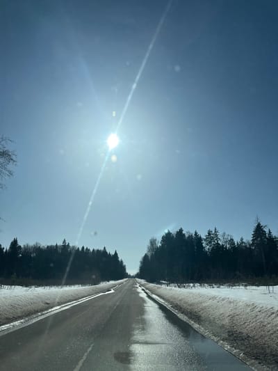 The image depicts a bright, rural road scene, reportedly located near the settlement of Нарынка, Russia. The sky is clear and blue, dominated by a glaring sun in the upper-left quadrant, which produces a prominent sunburst and lens flare across the upper portion of the frame. A straight, two-lane asphalt road extends into the distance, appearing wet with melted snow and puddles, and reflecting the sunlight. Elevated banks of dirty, melting snow line both sides of the road. Beyond the snowbanks, dense forests, primarily composed of dark evergreen trees interspersed with some bare deciduous trees, flank the road to the horizon. No individuals or other vehicles are visible. The perspective suggests the image was captured from inside a moving vehicle.