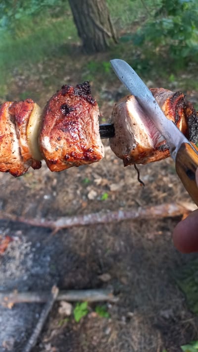 A close-up shot captures a skewer of grilled meat with a knife cutting into one of the pieces. The meat is browned and appears juicy. Behind the skewer, out-of-focus trees and foliage suggest an outdoor setting. A small pile of ash and burnt wood in the lower left corner indicates a campfire or grill was recently used. The scene is likely outdoors, possibly in a park or forest area, consistent with the natural environment found in and around Obukhiv, Ukraine.