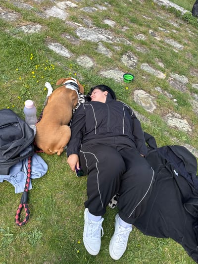 A woman is lying on the grass with a brown and white dog curled up beside her. She is wearing a black tracksuit with white stripes and white sneakers. A black hoodie is beside her. Her head is resting on a patterned scarf or blanket, and she is holding a phone in her hand. Beside the dog is a backpack, a water bottle, and a rope toy. A green foldable bowl is in the top left corner. The ground is grass mixed with stones and yellow flowers. The location is a grassy area, potentially a meadow or park, in Milanovo, Bulgaria.