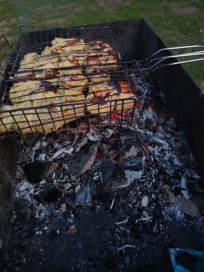 A close-up, slightly angled shot shows chicken pieces being grilled over hot coals in a portable barbecue grill. The chicken appears to be marinated and is browning with grill marks. The grill is placed outdoors, with a background of green grass and trees. The coals are glowing red and gray ash is scattered around them. The scene suggests a casual outdoor meal preparation. The location is not identifiable from the image.