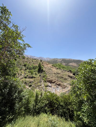 The image captures a vibrant, sunlit natural landscape in Asni, Morocco. The upper portion of the frame is dominated by a clear, intense blue sky, with a distinct sun flare emanating from the upper right, indicating direct, powerful sunlight. In the mid-ground, a series of mountains and hills stretch across the horizontal expanse, with the highest peaks in the distant left-center displaying visible patches of snow. The slopes of these mountains are a blend of light brown rocky outcrops, sparse green scrub, and some denser areas of dark green trees. The foreground is rich with lush green vegetation, including large leafy trees that frame the left and right edges of the view. The lower part of the scene features dense green bushes and tall, bright green grass. No people, animals, or evidence of human structures or activity are present, emphasizing the natural state of the environment.