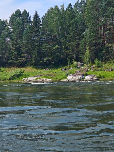The image depicts a natural landscape scene, likely near the city of Porog, Russia, characterized by a river flowing in the foreground and a dense forest bordering the riverbank in the background. The river's surface is agitated, showing ripples and currents, with reflections of the sky and vegetation. The riverbank is lined with rocks and lush green grass, with a thick growth of evergreen and deciduous trees forming a dense forest. The sky above is partly cloudy. There are no people or man-made structures visible in the frame, indicating a natural and undeveloped environment.