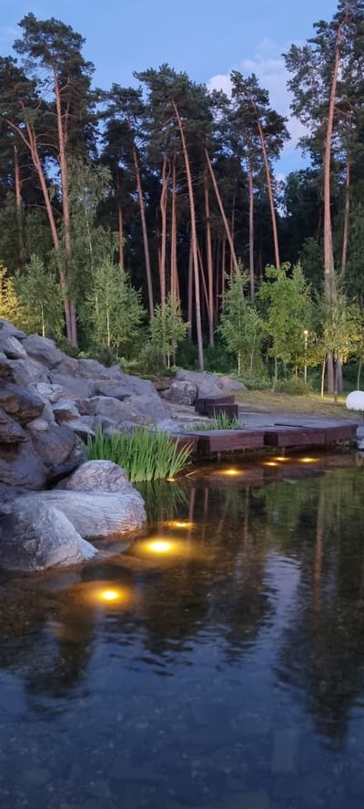 The image depicts an outdoor scene at dusk or early evening in Shulgino, Russia. In the foreground, a body of water, likely a pond or small lake, reflects the surrounding environment and artificial lighting. Several yellow lights are submerged in the water, casting illuminated circles on the surface. The water appears clear enough to reveal some rocks or pebbles on the bottom.

To the left of the water is a rocky embankment composed of large, grey stones. Some green reeds or aquatic plants are growing at the edge of the water between the rocks and a wooden structure. This wooden structure, made of dark planks, appears to be a small platform or walkway that extends over the water. Behind the embankment and water, a dense forest of tall, slender pine trees dominates the background, their trunks a reddish-brown and their needles dark green. The sky above is a deep blue, with hints of wispy white clouds. The overall impression is a tranquil, man-made landscape integrated into a natural forest setting. There are no people or animals visible in the image.