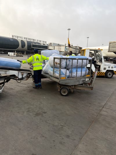 The image depicts an airport worker in a high-visibility jacket positioned next to a cart filled with large bags. The bags are white with blue stripes. The cart is connected to a vehicle, likely for towing. In the background, part of the airport terminal is visible, along with parked airplanes and airport support vehicles. The terminal building has the text "AEROPORT INTERNATIONAL BLAISE DIAGNE" displayed, indicating this location is Blaise Diagne International Airport. This airport is located in Diass, a rural community in Senegal. The weather appears overcast. The worker seems to be overseeing the loading or unloading of cargo. The ground surface is concrete.