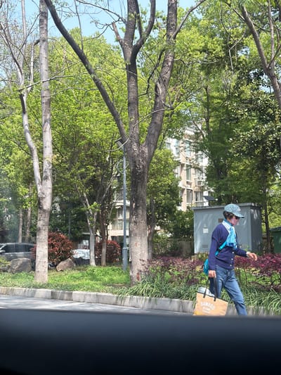 A man is walking along a sidewalk in Yuhuatai District, China, carrying a brown bag that reads "BAMBOO IS COOL." He wears a blue jacket, jeans, a light blue scarf, and a blue patterned cap. The scene includes trees, grass, bushes, and a building in the background. A utility box is also visible near the man. The image appears to be taken from inside a vehicle.