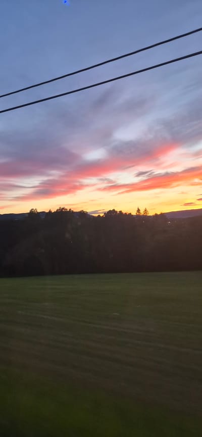 A vertical, medium shot captures a sunset over the countryside near Biri, Norway. Two dark, horizontal power lines stretch across the top third of the frame, obscuring a portion of the sky. The sky itself is a gradient of colors, transitioning from a soft blue at the top to vibrant pinks and oranges near the horizon, indicative of twilight. Below the sky, a dense line of dark trees forms a silhouette against the colorful sky, suggesting a wooded area or forest. A strip of green field, appearing somewhat blurred due to motion or focus, occupies the bottom third of the image. The overall scene is serene and natural, with no visible people or specific structures, suggesting a rural or undeveloped area. The presence of power lines indicates some level of human infrastructure, but the focus remains on the natural landscape and the dramatic sunset.