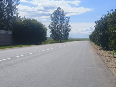 A paved road extends into the distance under a partly cloudy sky in the village of Luhavaslabadski selski Savet, Belarus. Dense green trees line both sides of the road, with a gray concrete fence visible on the left. A single, leafy tree stands in a field to the left of the road. The road has white dashed lines indicating lanes. The ground beside the road is covered with grass and dirt. The overall scene suggests a rural or suburban setting.