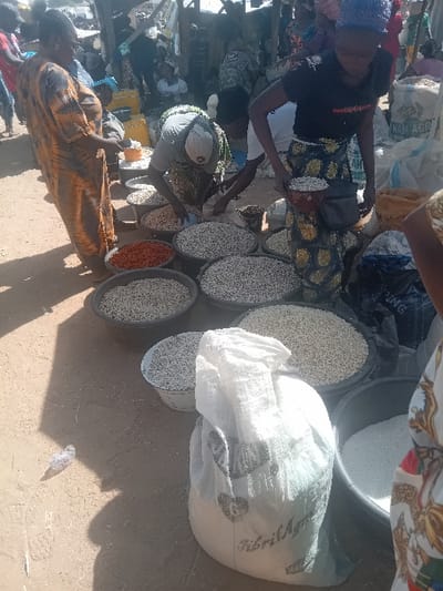 The scene depicts an active open-air market in Gurku Gwari, Nigeria, under bright daylight. In the foreground and midground, three women are engaged around numerous large, dark-colored bowls filled with agricultural produce. A woman on the far left, wearing an orange and black patterned dress, stands observing the market stalls. In the center, a woman wearing a grey long-sleeved top and a light-colored cap is bent over, actively handling grains within a large bowl, possibly scooping or packaging. To her right, a woman in a black short-sleeved top and a patterned skirt, wearing a blue head covering, stands holding a small bowl filled with light-colored grain.
Multiple large bowls on the sandy ground contain various light-colored grains or pulses, with one bowl in the mid-left specifically containing red chili peppers. A prominent white sack, partially labeled "KibrilAgro" and featuring a heart symbol, stands in the lower center-right, near a large bowl of white grain. The ground is sandy dirt, displaying footprints and distinct shadows cast by the midday sun. The background reveals additional market activity, with other individuals and rudimentary market stall structures constructed from wood and possibly fabric or corrugated material.