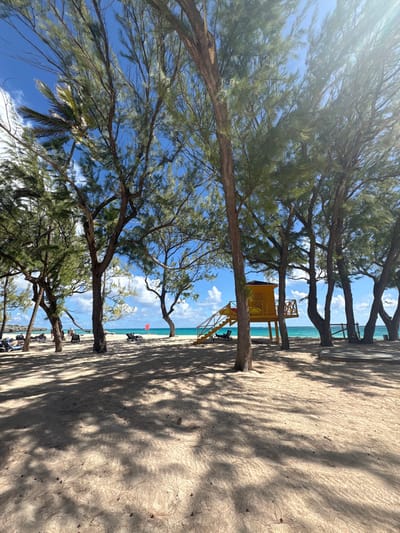 The image depicts a daytime beach scene in Wellhouse, Barbados, under a clear blue sky with scattered white clouds. The foreground consists of light-colored sand, heavily shaded by numerous tall trees with green, needle-like foliage and visible brown trunks. Scattered across the sand are multiple dark-colored beach loungers, some of which appear occupied by individuals relaxing. In the midground, a prominent yellow, two-story lifeguard stand with an enclosed upper hut and stairs leading up to it is positioned closer to the water's edge. To the left of the lifeguard stand, a red warning flag is planted upright in the sand near the water. The background reveals the turquoise-blue ocean with gentle waves, meeting the sandy shore. Distant dark objects, possibly small vehicles or watercraft, are visible among trees on the far left. A low, flat wooden platform is situated on the sand to the right.