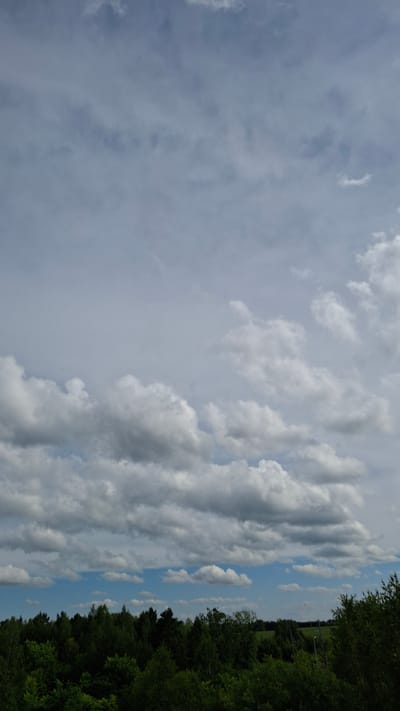 The image captures a view of a cloudy sky with a forest on the right side. The sky is filled with various types of clouds, from wispy cirrus formations to larger, more defined cumulus clouds. The sunlight filters through the clouds, creating a dynamic interplay of light and shadow. The forest on the right is dense and lush, with a variety of trees and foliage. The leaves are a deep green, suggesting it is summer or late spring.
The image appears to be taken from a slightly elevated position, looking out over a landscape. The clouds suggest it might be a partly sunny day, possibly with the possibility of rain. The presence of the forest and the open sky indicates a natural, possibly rural setting. There are no people or man-made objects clearly visible, making the scene focus on the natural elements of the sky and the forest. The lighting and cloud formations suggest it could be midday or late afternoon. There is no visible text in the image.