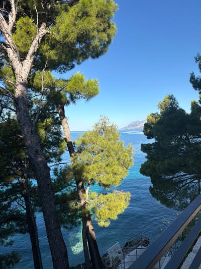 The image captures a serene coastal view with mature pine trees framing a clear blue sea and a distant mountain range. In the foreground, the textured bark of several pine trees is prominent, with their green needles catching the sunlight. The water transitions from a vibrant turquoise near the shore to a deeper blue further out. Sunlight penetrates the clear water, creating a dappled pattern on the seabed. A set of metal stairs with a handrail leads down towards the water. The sky above is a cloudless, bright blue. The location is identified as Općina Brela, Croatia.
