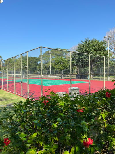 A vibrant tennis court with a red and green surface is enclosed by a chain-link fence under a clear blue sky. Lush green grass surrounds the court, and a dense bush with bright red hibiscus flowers in the foreground partially obscures the view. In the background, mature trees form a natural backdrop, and two lampposts stand tall, suggesting the court is equipped for night play. The scene is set in a bright, sunny environment, likely in a park or recreational area in Kuta Selatan, Indonesia.