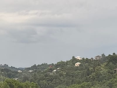The image shows a densely forested hillside with several houses dotted among the trees. The sky is overcast with a muted, gray tone. The houses are of varying sizes and architectural styles, with some featuring light-colored walls and roofs. One house, towards the left side of the mid-ground, has a distinct red roof. The terrain is uneven, with the houses situated at different elevations, suggesting a hilly or mountainous landscape. The overall impression is one of a rural or semi-rural settlement nestled within a natural environment. This scene is located in Kveda Kvirike, Georgia.