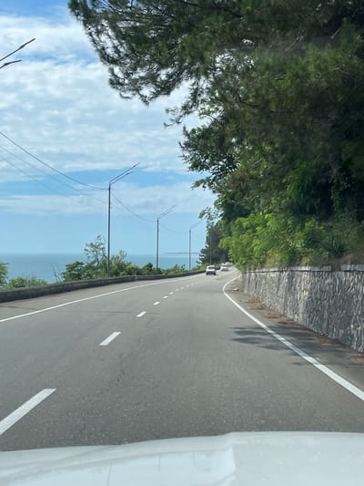 The image shows a two-lane asphalt road winding along a coastline with a stone retaining wall on the right side. Tall green trees and foliage line the right side of the road, creating a dense canopy in some areas. On the left, the blue sea stretches to the horizon under a sky with scattered white clouds. Two streetlights with visible wires are positioned along the left side of the road, and two white cars are visible driving in the same direction as the camera. The foreground shows the hood of a white vehicle. The scene appears to be captured from a moving vehicle.