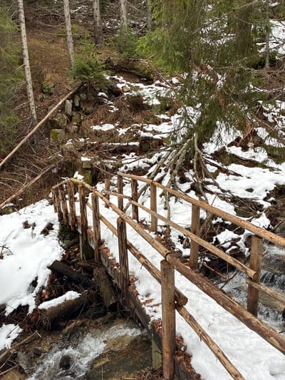 The image shows a small, hand-built wooden bridge spanning a rocky stream in a forest or wooded area, with patches of snow visible on the ground. The bridge appears to be constructed from roughly hewn logs and branches. Water is flowing rapidly beneath the bridge. The surroundings are a mix of trees, shrubs, and fallen leaves. The absence of any recognizable landmarks or indications of a city setting makes it impossible to confirm if the location is in or near Manastir, Bulgaria based on the image content alone.