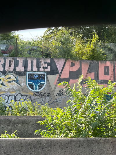 The image depicts graffiti on a concrete wall in Thiais, France. The graffiti includes large, stylized lettering in pink and black, with the words "ROTUL" and "PLA" partially visible. Below the lettering, there is a crest or shield design in blue and white, featuring a pair of undergarments and two owl-like figures. Various other graffiti tags in grey and yellow are also present on the wall. The wall is situated behind a chain-link fence, with lush green vegetation growing in front of and on top of it. In the foreground, concrete structures are visible, with more green plants growing between them. The overall scene suggests an urban environment with a focus on street art and natural overgrowth.