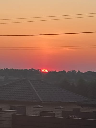 This is a vertical, low-angle photograph of a sunset in Dubovoye, Russia. The scene is dominated by the sky, which transitions from a pale orange on the left to a deep pink and red near the horizon on the right. A bright red sun, partially obscured by trees and buildings, is visible low in the sky.
On the left side of the frame, three thin, dark electrical wires run vertically. The background on the right is a silhouetted dark line of trees. Below the trees, a grey, textured roof of a building is visible, and further to the right, a brick structure with horizontal window openings can be seen. The overall impression is that of an evening setting, likely dusk, as indicated by the vibrant sunset colors. The image evokes a sense of calm and the end of the day. No people are visible in the photograph, and there is no discernible text.