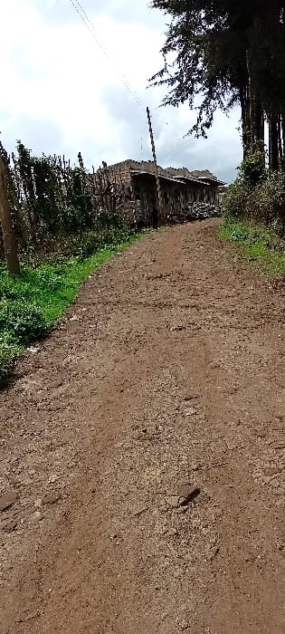 The scene depicts a dirt road in Rwanyambo, Kenya, under an overcast sky. The reddish-brown road, featuring visible tire tracks and scattered debris, extends from the foreground into the distance. Lush green vegetation and grass line both edges of the road. On the left, a rustic fence or hedge constructed from vertical wooden stakes and dense green foliage runs parallel to the path. In the mid-ground, a single-story building with a dark roof and walls constructed from natural materials (possibly wood or earth) is visible to the left of the road's center. A pile of materials, resembling firewood or debris, sits to the right of the building. A slender, dark utility pole stands vertically to the right of the building, with at least two thin wires extending horizontally across the upper portion of the frame. On the far right, a cluster of tall, dark green coniferous trees stands against the sky. No individuals or specific actions are discernible.
