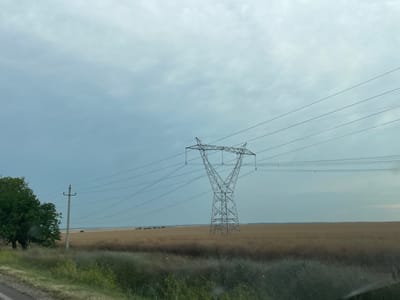 The image depicts a wide, open landscape under a cloudy sky. The primary subjects are a large metal electricity pylon and a solitary utility pole in a field of golden-brown vegetation, likely a harvested crop. Power lines stretch across the frame, connecting to the pylon and disappearing towards the horizon. In the left foreground, a dense green tree stands out against the muted tones of the field. The ground in the immediate foreground is covered in wild grasses and some greenery, suggesting a rural or roadside setting. In the distance, the land appears flat, with a faint, dark line on the horizon that could indicate more distant vegetation or a change in terrain. The sky is overcast with a soft, diffused light, suggesting it is either early morning or late afternoon. There are no people or animals visible. The overall mood is serene and slightly melancholic, evoked by the vastness of the landscape and the somber sky. No text is visible in the image. Given the provided location context, the scene is situated in Congaz, Moldova.